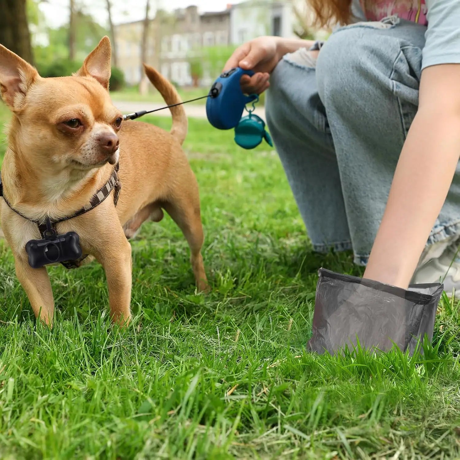 Why Picking Up Your Dog's Poop Matters